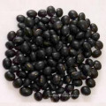 Hot Sale Black Bean Large Supplier